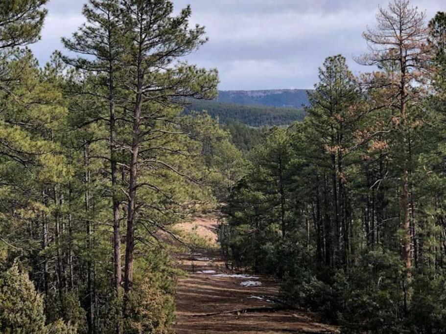 Forest Cabin 1 Hunters Blind Payson Bagian luar foto