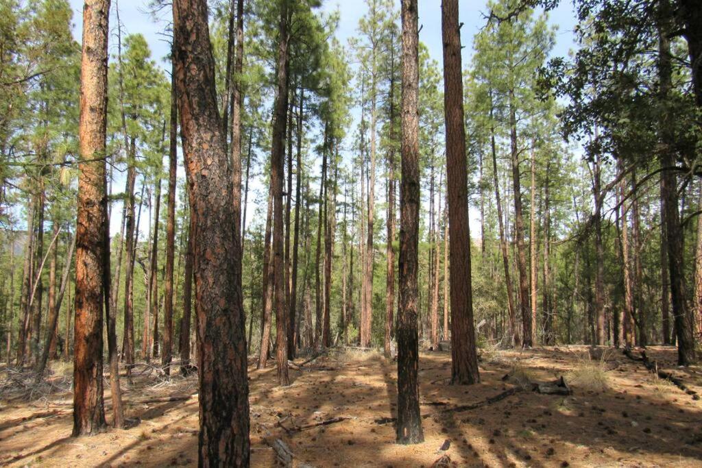 Forest Cabin 1 Hunters Blind Payson Bagian luar foto